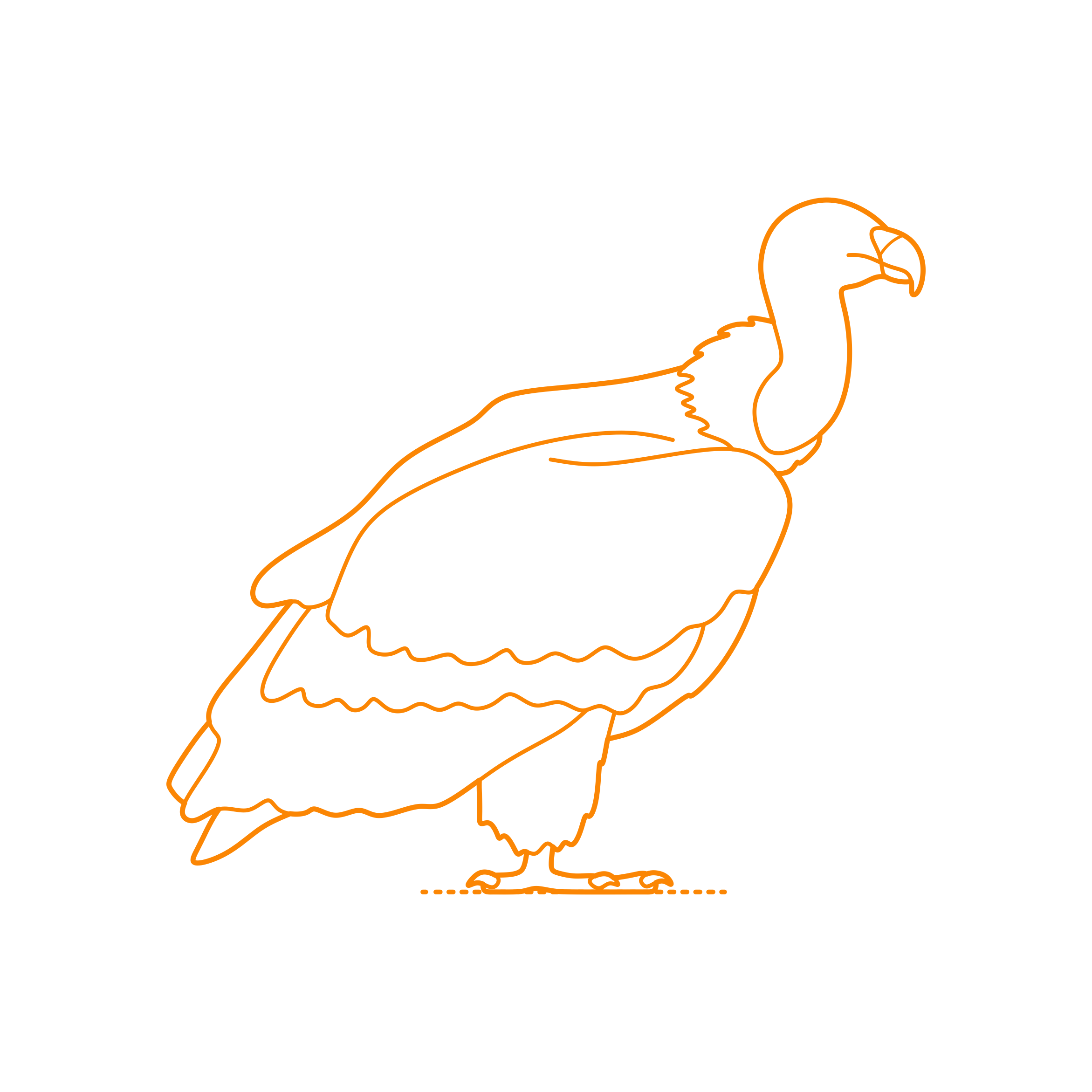 Animals Birds Of Prey Griffon Vulture Svg Vector Tracing Design Free Vectors